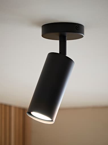 Matte Black Single Ceiling Spotlight
