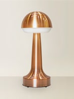 Image of Rechargeable