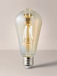 Image of Filament Bulbs